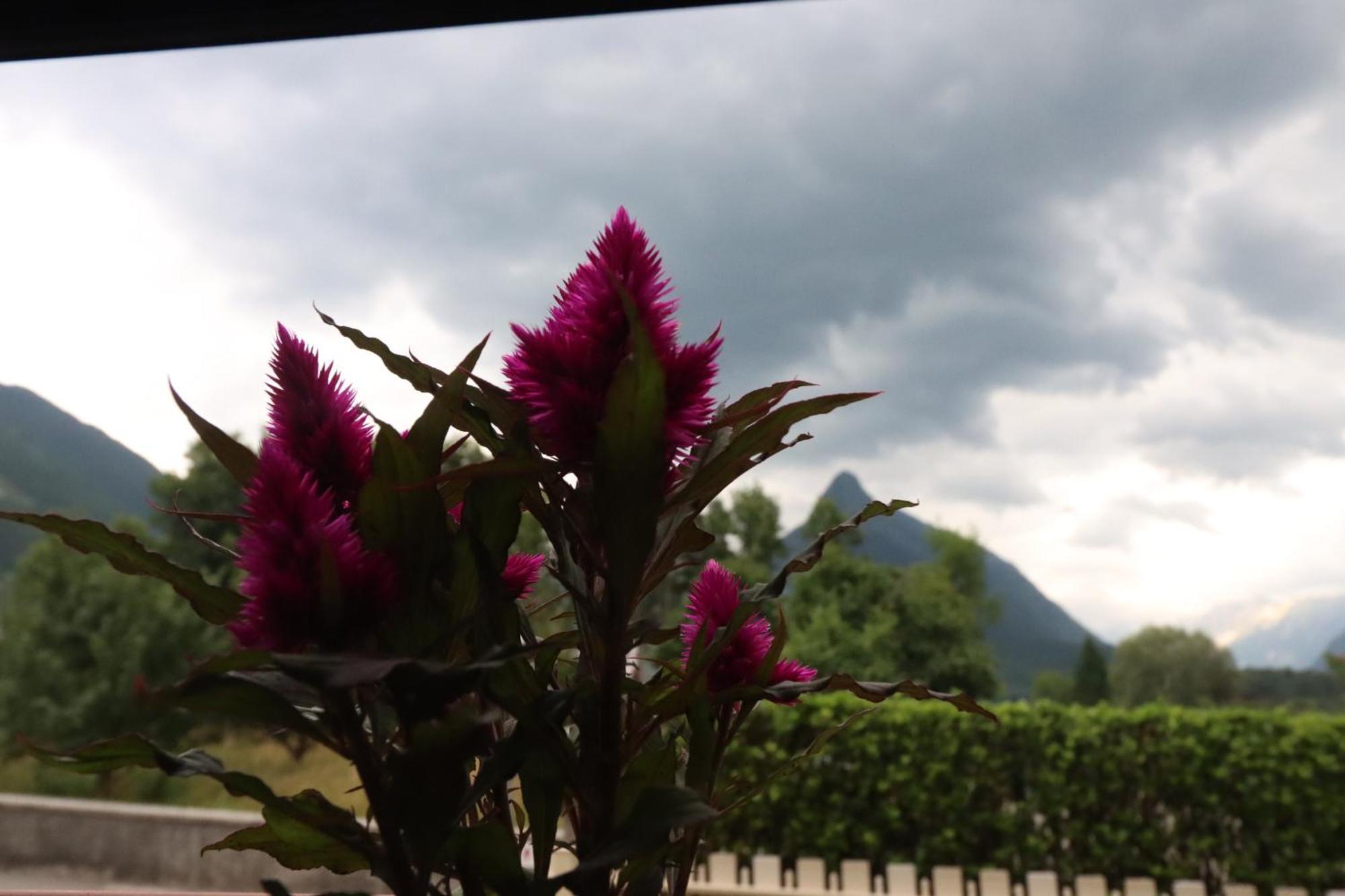 Apartma Buon Bovec Eksteriør bilde
